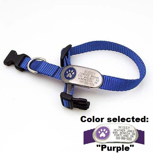 Jewelry ID Collar - Paw, - Lucky Pet